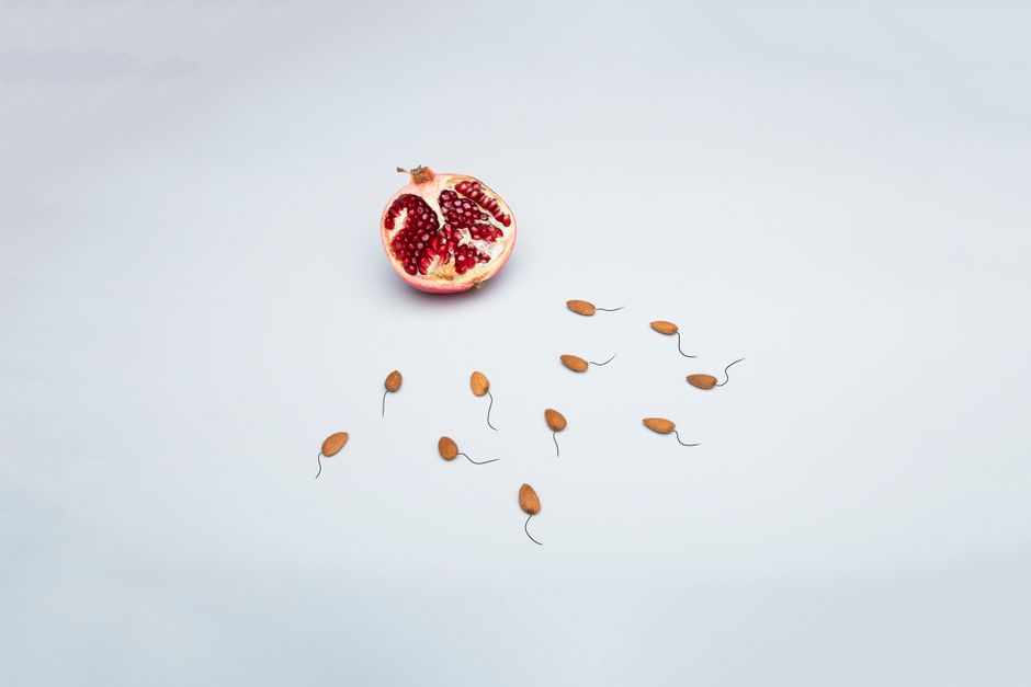 Increased Fertility illustration